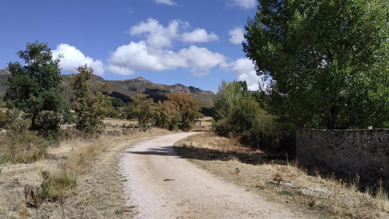 La Casa Rural De Alicia Bustares Екстериор снимка
